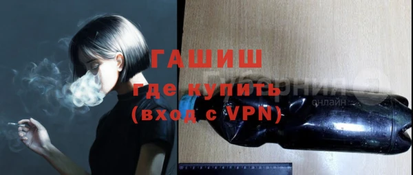 индика Дмитров