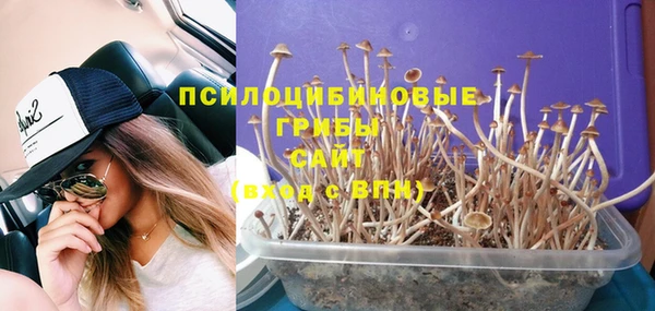 мяу мяу мука Дмитриев
