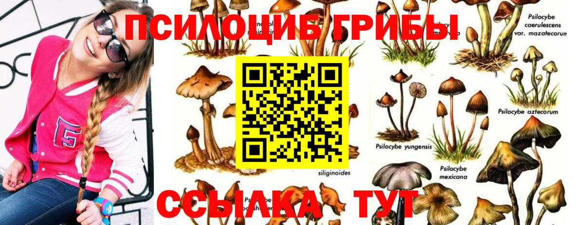 Чапаевск  Галлюциногенные грибы GOLDEN TEACHER  Вход с VPN  Галлюциногенные грибы Psilocybe 