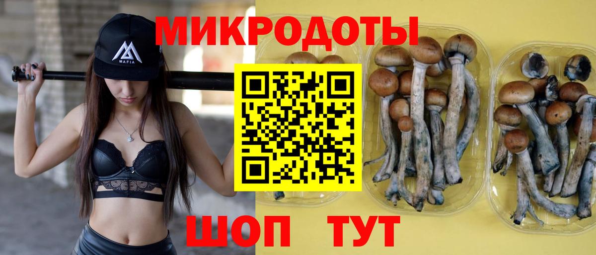 Псилоцибиновые грибы прущие грибы Чапаевск